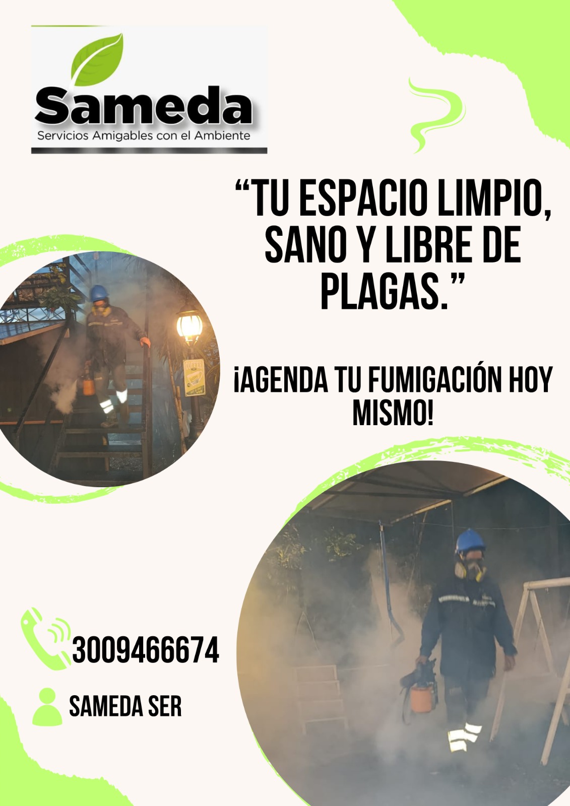 Fumigación y control de plagas